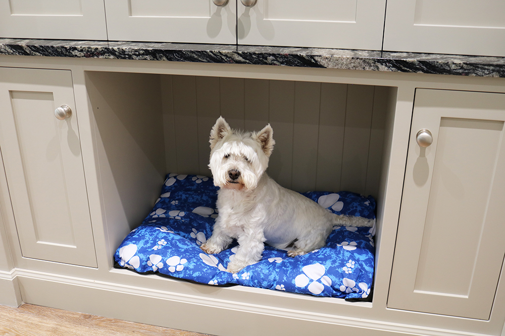 Did you know the UK is a nation of animal lovers with an estimated 9.9 million dogs and 10.9 million cats in our homes?

Head over to the site to read all about the nifty ways we can include your pets in our kitchen design!

handcrafted-kitchens.co.uk/kitchens/how-t…