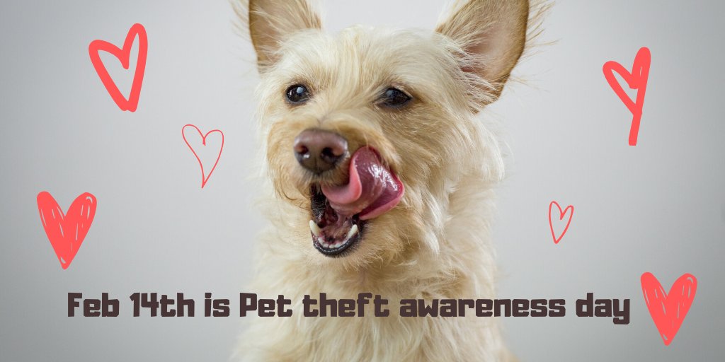 PremierPetUK's tweet photo. Don't let thieves steal your heart this Valentines #ValentinesDay2020 https://t.co/08oTJyHGYh