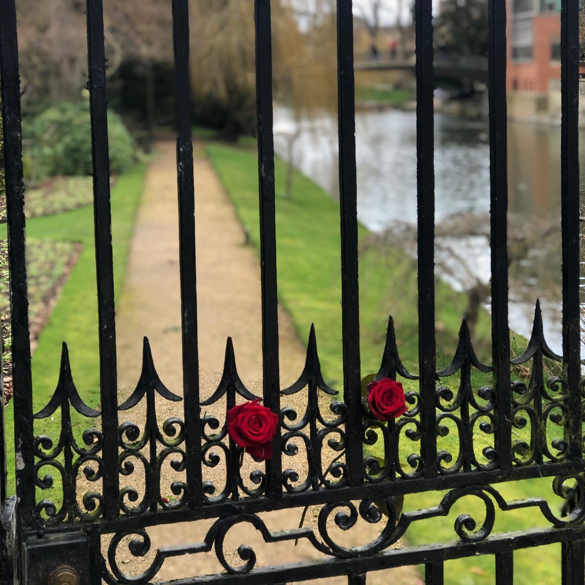 ClareConference's tweet photo. Happy Valentine's day from Clare! #ValentinesDay2020 https://t.co/Or1WSKn5sz