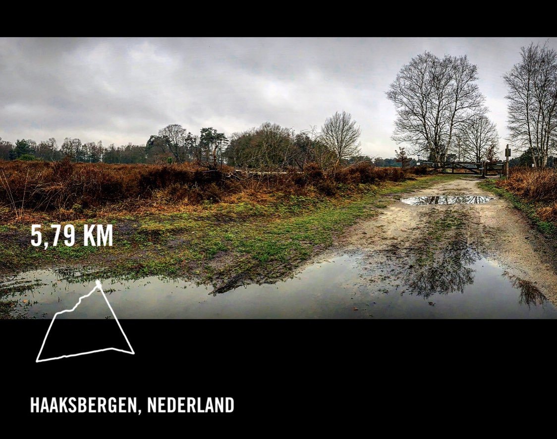 Ren9Rene's tweet photo. #running #hardlopen #trail Heerlijk dilemma... stampen door de heide, reuzensprong of gewoon door de bagger #optionsoptions https://t.co/F8r4pTUFLp