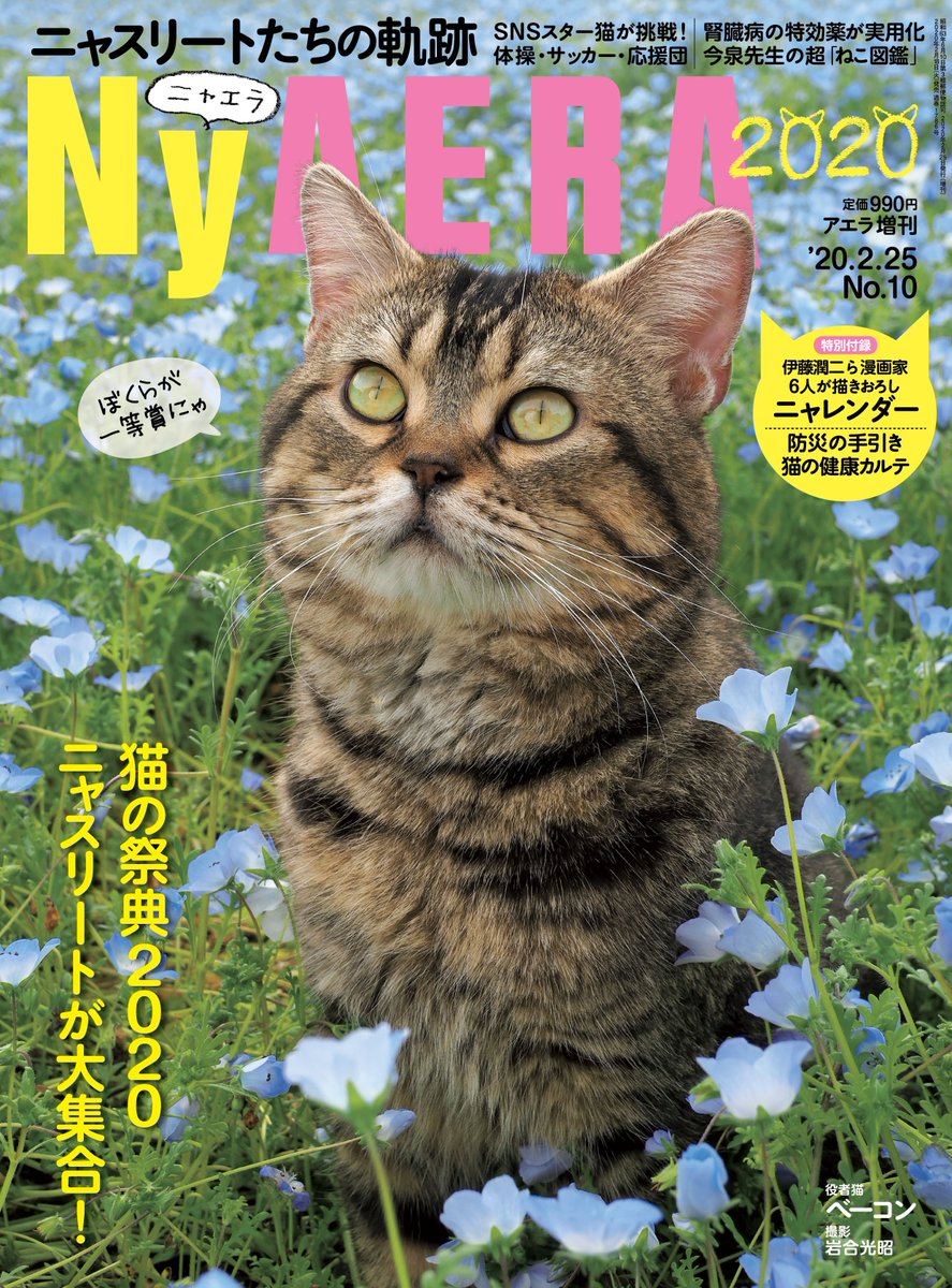 週刊誌AERA(アエラ)様の猫バージョン、NyAERA(ニャエラ)様の雑誌に猫さんイラストを描かせて頂きました(*'꒳`*)
発売は2月18日(火)です!
とても豪華で素敵な雑誌なので、ぜひ手に取ってみてくださいね!
https://t.co/NImy1QIoTV
https://t.co/xqvCAQUWqp 