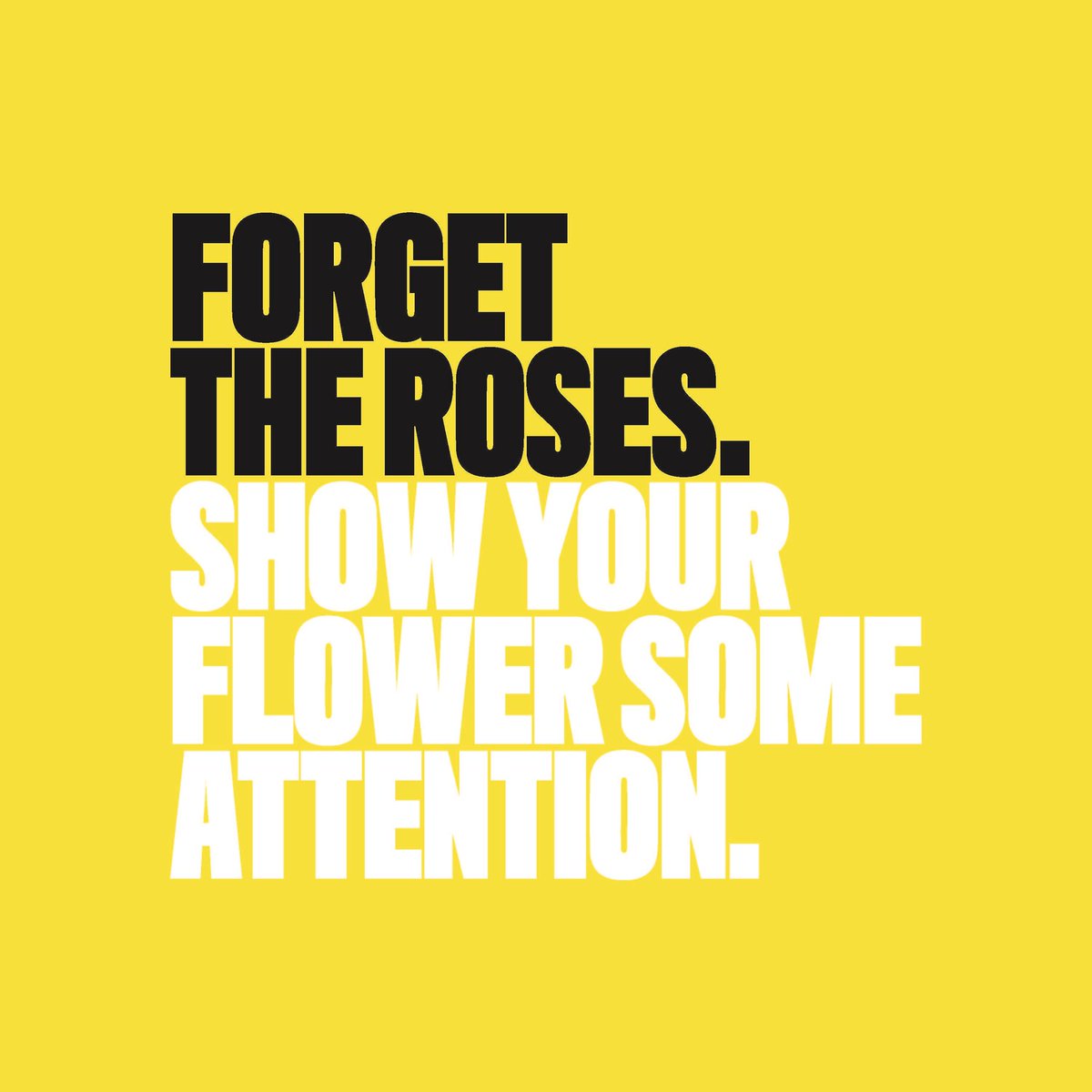 Dontbeataround1's tweet photo. Whether you’re loved up or a single pringle - down there should deffo get some lovin’. A smear test is the best way to prevent cervical cancer, giving your fanny the attention it needs.
.
So don’t beat around the bush, call your GP and book a cervical screening today. https://t.co/gWVdI7oyMO