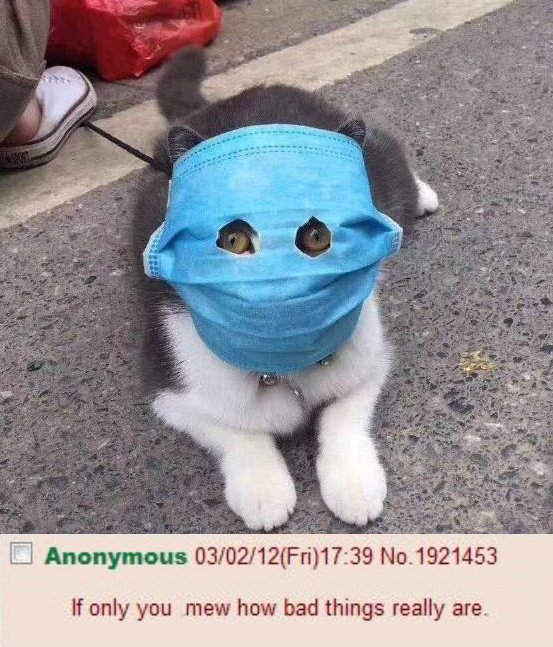 EQulUOGW4AANb7D?format=jpg&name=small