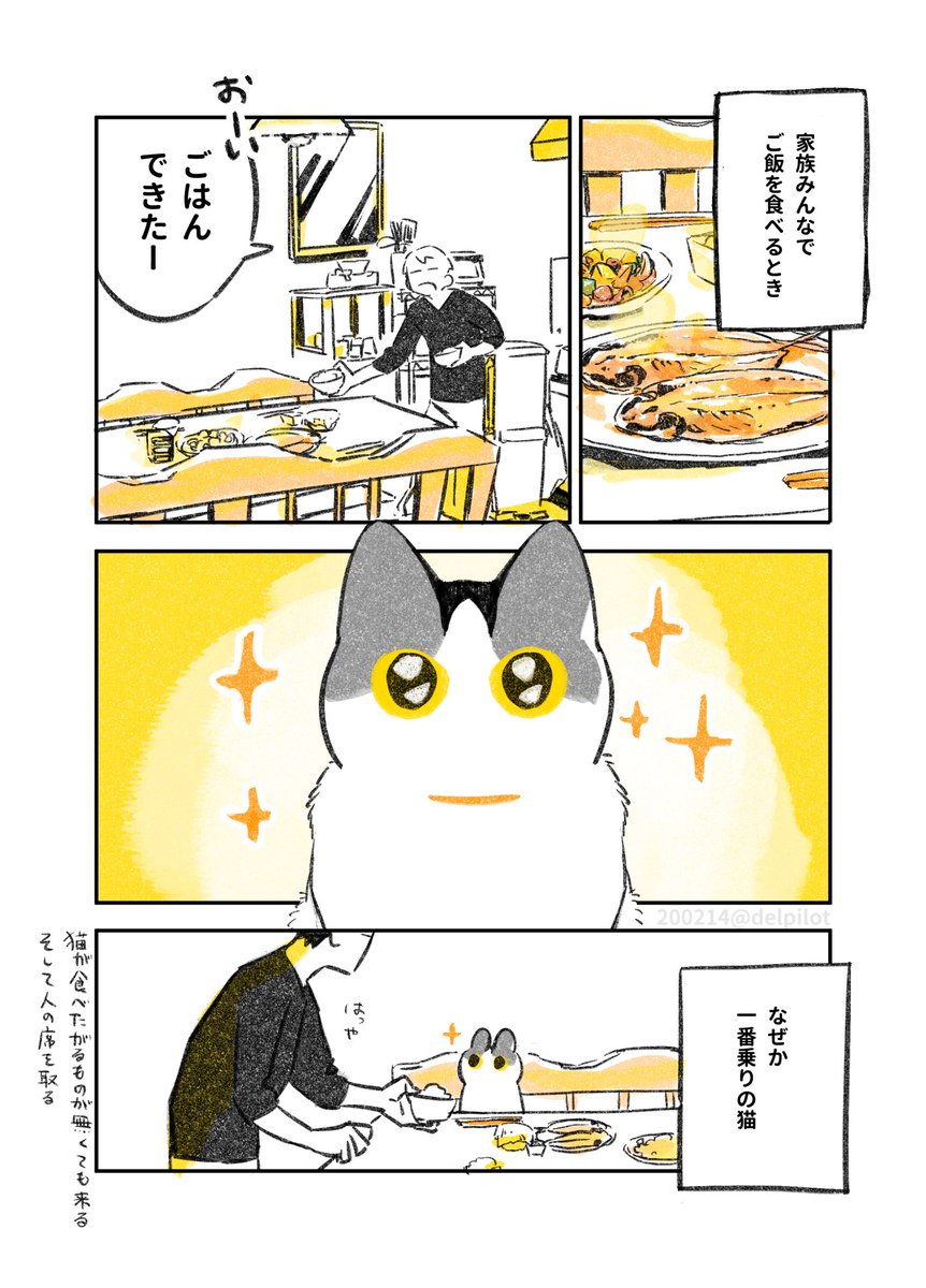 人がご飯食べてると見に来る猫さんによる熱い抗議とごはん詐欺 今帰ってきたニンゲンからはもらってない Togetter