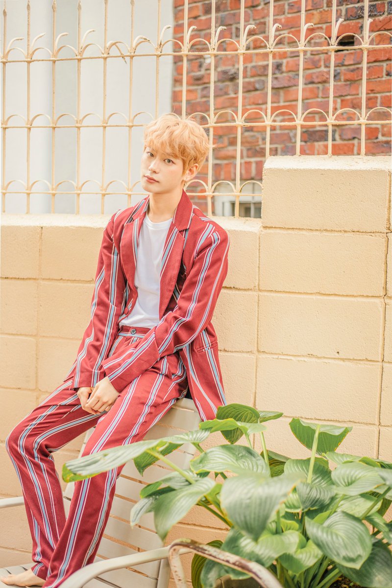 LSJ_Archive's tweet photo. 200214 일본 공홈 #이세진 프로필 https://t.co/HmqZ3rM0am