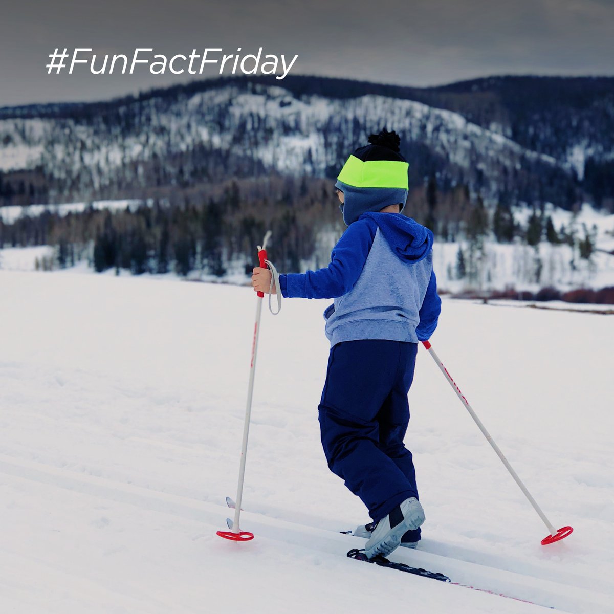 Off skiing this February half term?

Did you know that skiing is one of the fastest non-motorised sports on land? Some skiers can ski faster than a car! In 2016 Ivan Origone set a world speed skiing record at 158.424mph!

#Embrace #FunFactFriday #Facts #Sports #Skiing #HalfTerm