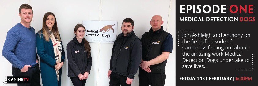 Canine_TV's tweet photo. Episode ONE 🎬🐾 | Friday 21st February 2020 | 6:30pm

Join Ashleigh &amp; Ant on the first episode of Canine TV visiting the team at @MedDetectDogs 

#ALLTHINGSDOG #CANINETV #MEDICALDETECTIONDOGS https://t.co/9B9MjrKKNZ