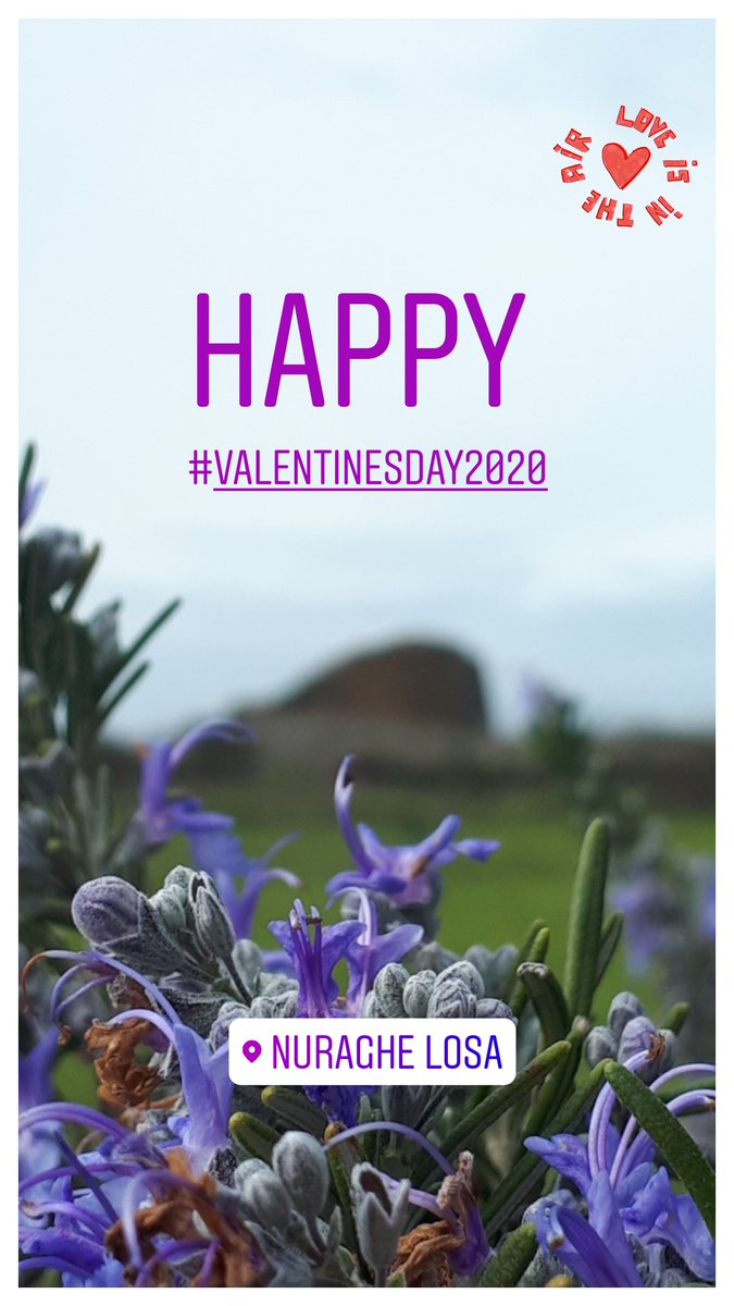 NuragheLosa's tweet photo. Happy #ValentinesDay!
.
#NuragheLosa
☎️ 078552302
📞 3319128790
🌍 https://t.co/KtSTnueI7f https://t.co/xDosyfXJPW