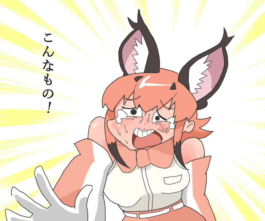 悲しいなあ
#けものフレンズ 