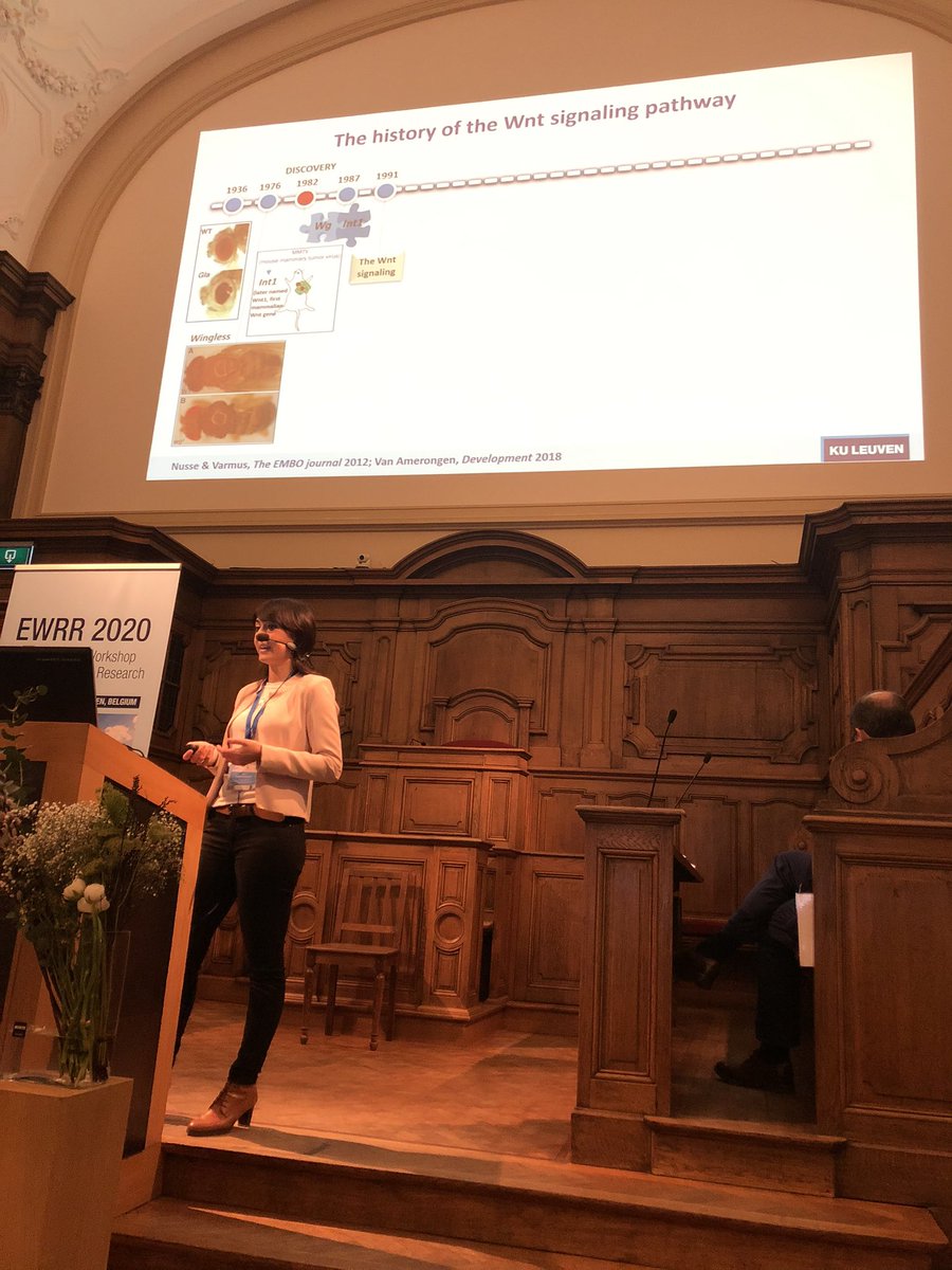 Homegame for @SilviaMonteag analyzing regulation of Wnt singalong in osteoarthritis