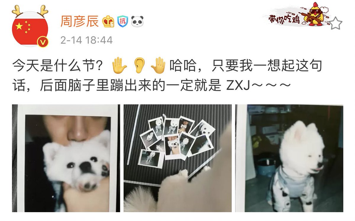 dearyancheon's tweet photo. yanchen took so many polaroids of kimchi !!!! 

“what day is it today? 🤚🏻👂🏻🤚🏻 haha, whenever i think of this question, what pops up right at the back of my head is definitely ZXJ~~~”

my #漫天星辰 is still going strong uwu ❤️❤️❤️ happy valentine's day zhou yanchen❤️ @johnsonzzzyc https://t.co/XVIEkckpLd