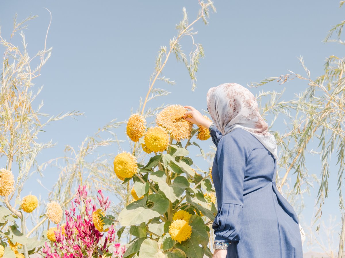 The Times Pictures tweet media