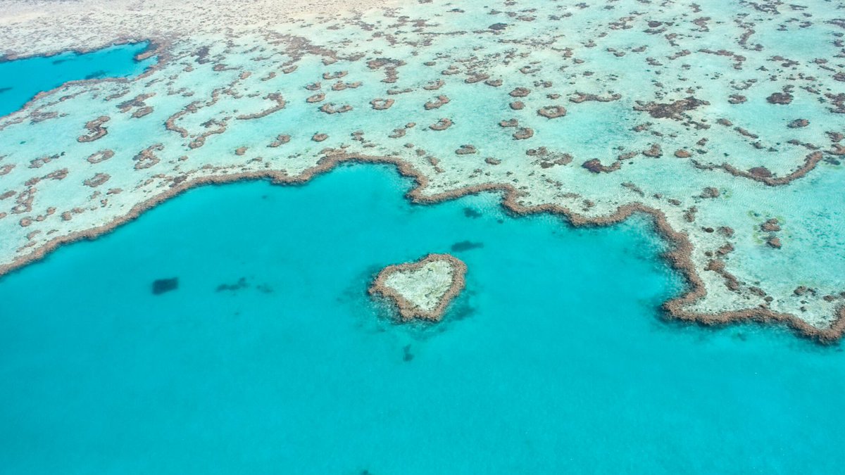 GEOSEC2025's tweet image. Happy Valentines Day to our one and only - beautiful planet Earth! We 💚💙💜 our amazing 🌍 
📷: Heart Reef, Australia 
Lake Retba, Senegal 
Lena River, Russia via ESA 
#ValentinesDay2020