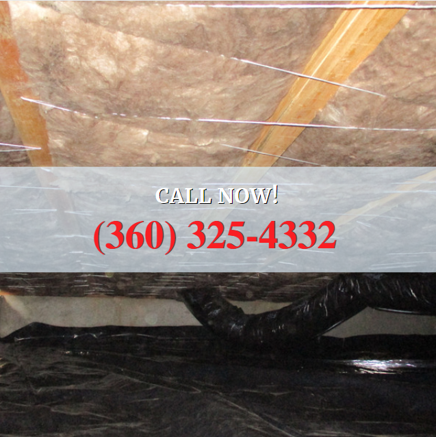 CleanCrawls's tweet image. How to keep your crawl space dry? Make sure your gutters are draining far away from your home &amp;amp; your crawl space vents are open! Draining water away from the home will prevent new water from coming in &amp;amp; open vents will provide the necessary ventilation to dry your crawl space out