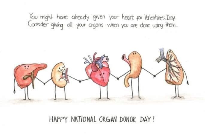A big heartfelt #THANKYOU to all donors and donor families! You can one day save a life too! Register to be an organ and tissue donor at beadonor.ca . #OrganDonation #savealife #DonorDay #beadonor @TrilliumGift @ottawadonors @CTAOntario 💚💚💚💚💚