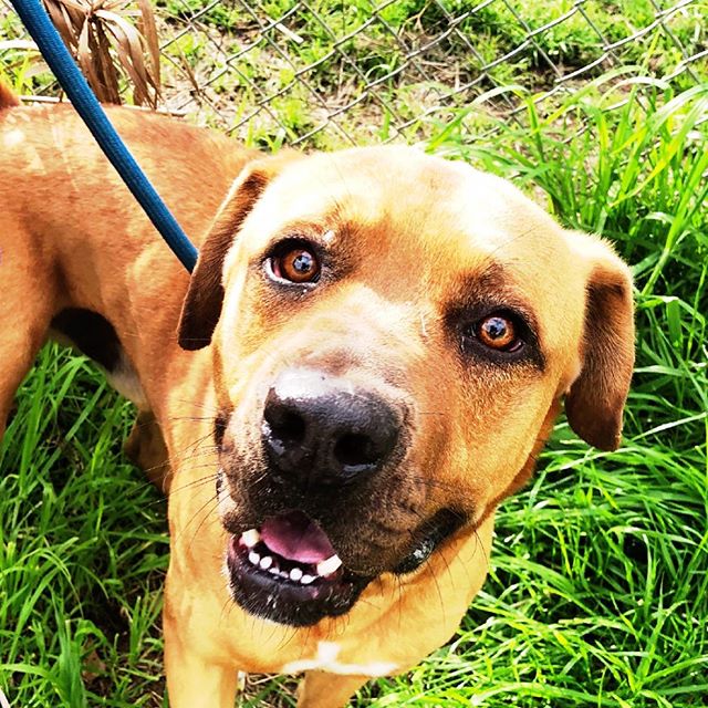 Oh Cerve you’re too handsome, and such a gentleman! He always calls to let you know if he’s running late, compliments your outfits, notices if you get your hair done, always listens and makes every date night special. Don’t wait until this evening to get a date. Cerve would be mo