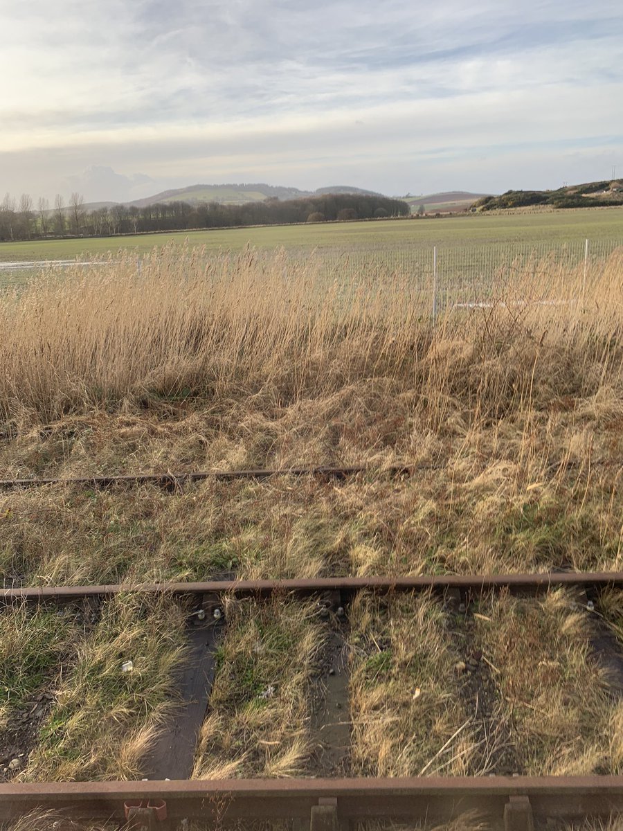 gerry_roarty's tweet photo. On the #azuma train back to Dundee after a great class with 3rd year #nursing #students @UoDNHS . Thanks also to Alison for joining the class.  #academicskills #ASK3 just passing Leuchars... https://t.co/dKlvupdHaO