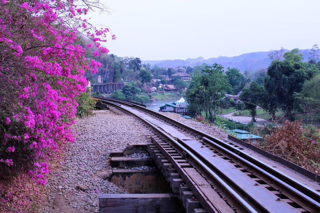 Petit coucou mes voyageurs, c'est votre contrôleuse préférée jamais loin d'un train pendant mes périples
Là en Thaïlande 🇹🇭 par 42° sans clim' 😜
🤗 Bon courage aux travailleurs 😏