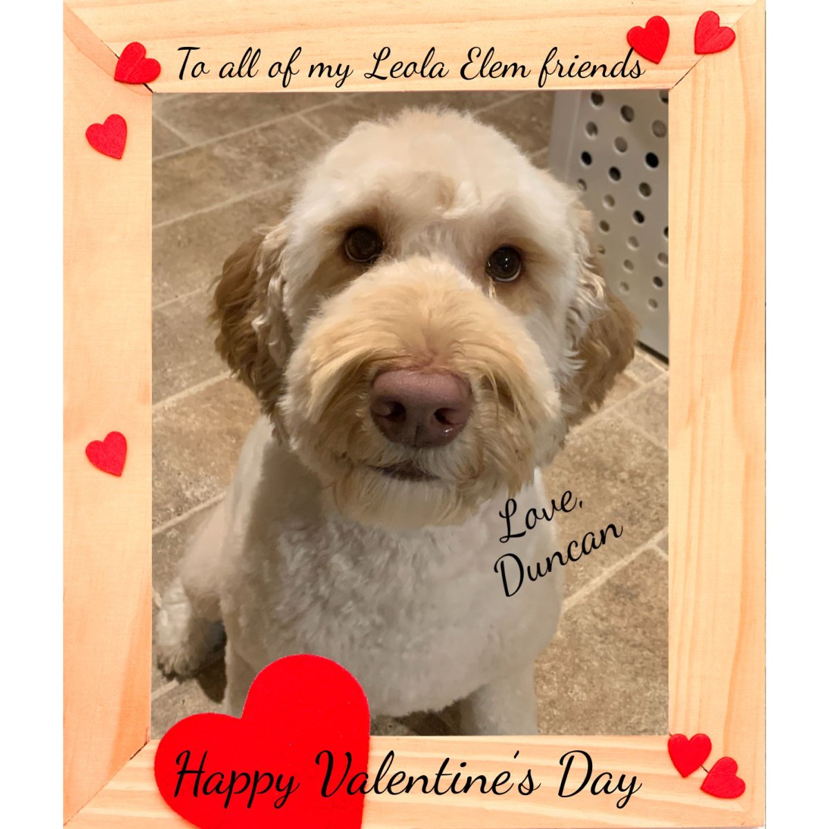 LeolaElementary's tweet photo. Hoping everyone’s long weekend is restful! ❤️ #valentinesday #presidentsweekend #timeoff #love #family #udsservicedogs #duncan #leolaproud https://t.co/PFRazOiLzO