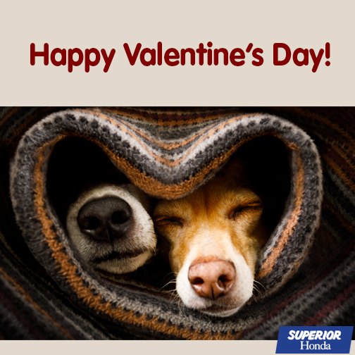 Wishing you everything that makes you happiest, today and always. Happy Valentine's Day! ❤️