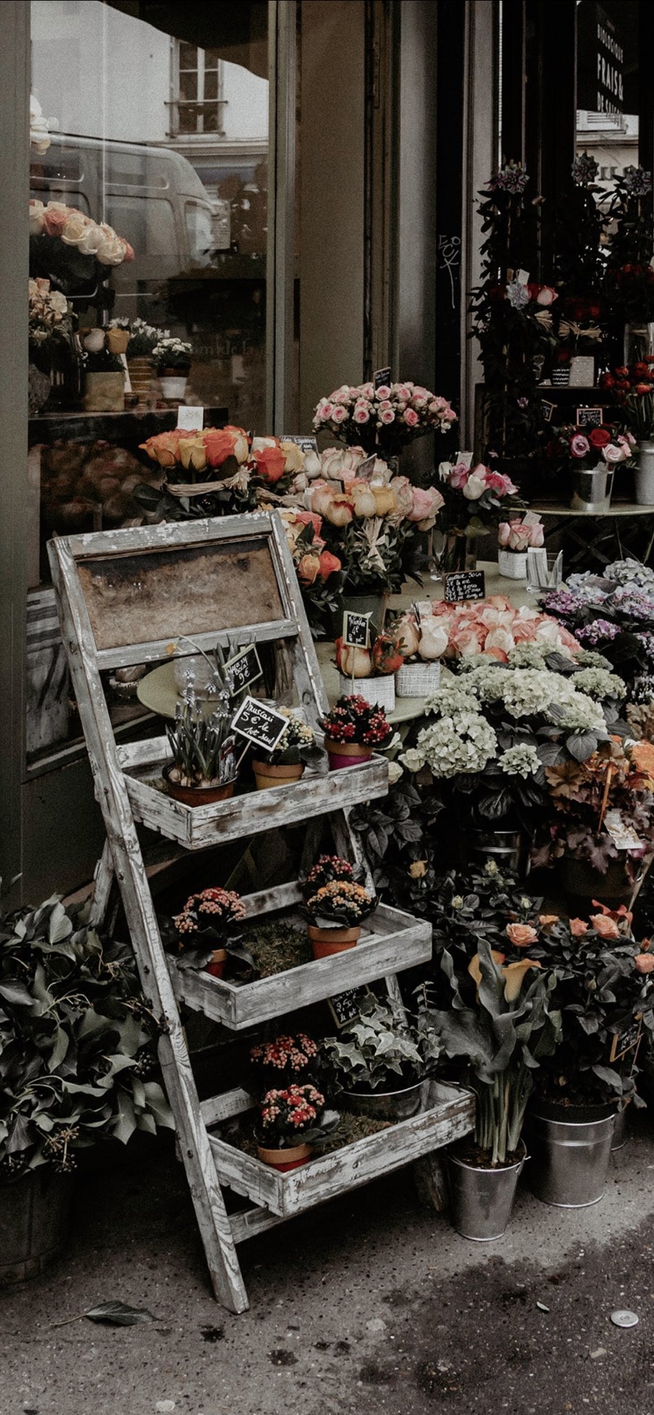 ���� ���� ������ �� ���� ������