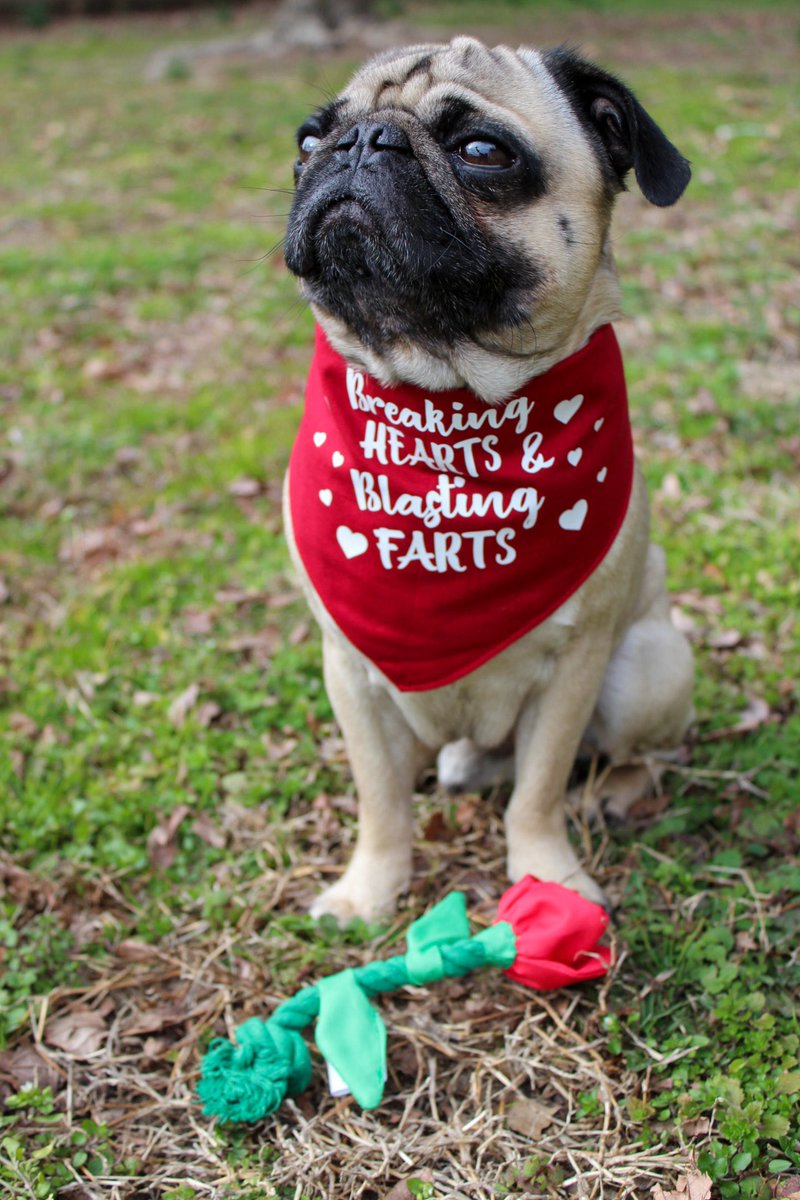 Love is like a fart.⁣⁣⁣
If you have to force it, it’s probably crap 💩⁣
-Melvin Gibson⁣⁣⁣
#HappyValentinesDay2020