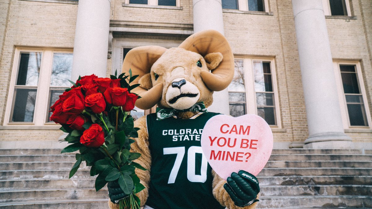 ColoradoStateU's tweet photo. Happy #ValentinesDay 
 
Tag your RAMentine 🐏 https://t.co/QlS8cEiwoC