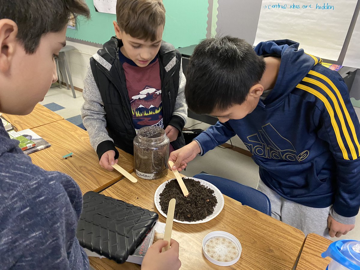 PrattClass5's tweet photo. Last day with our worm farms! @EastHills4_8 @unclejimworms https://t.co/a30K59EqMo