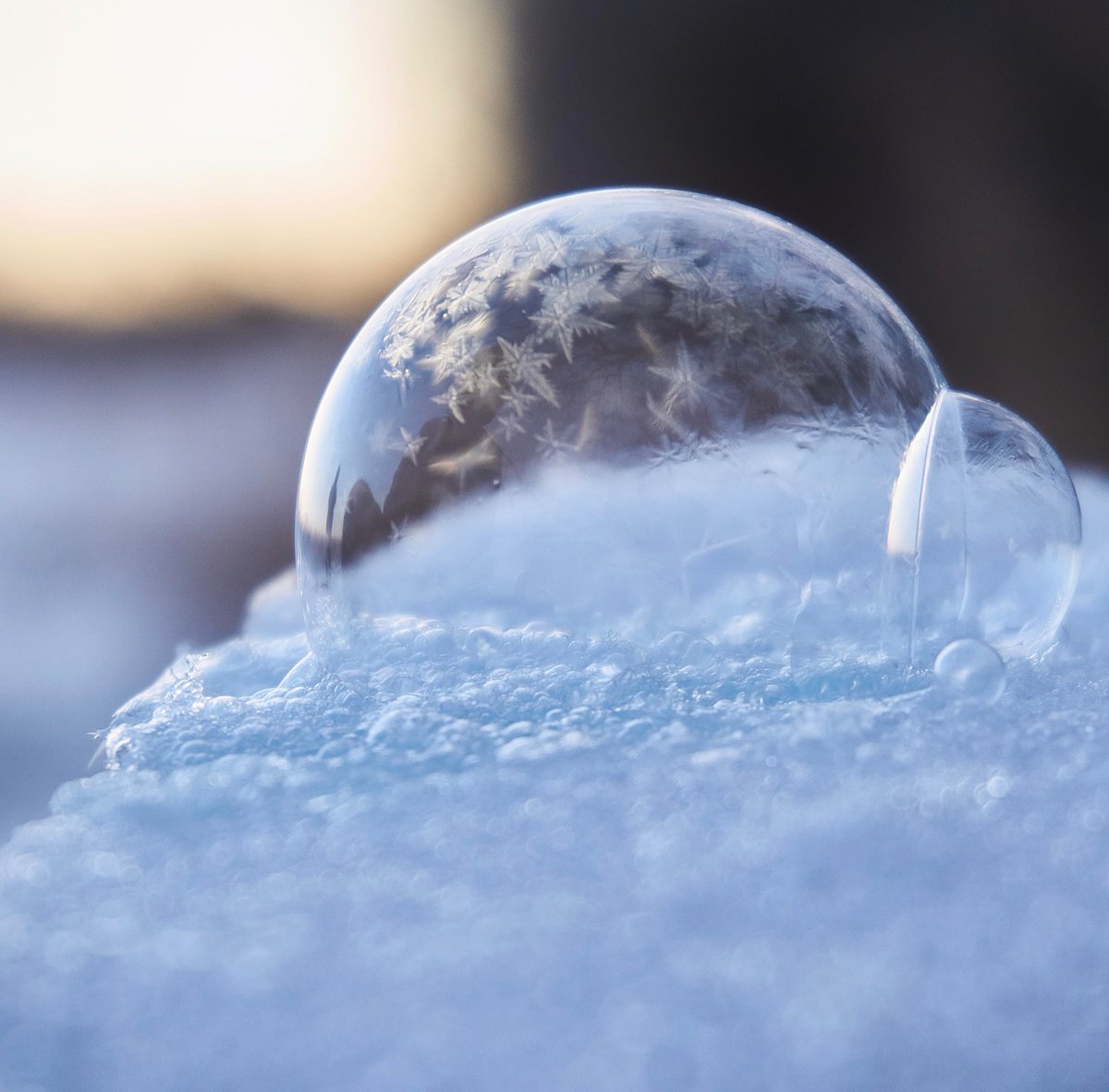 macho_diamond's tweet image. Cold enough to flash freeze bubbles at 7F as well. This is the first time I’ve ever been really successful at capturing the awesome crystals forming, video coming soon

#kswx #snowhour #icebubble @NWSWichita