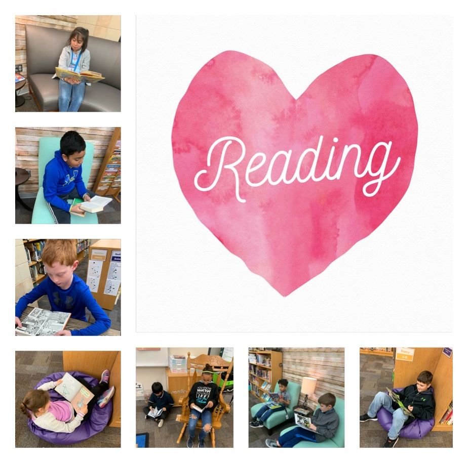 High Country Library (@high_countrylib) on Twitter photo 