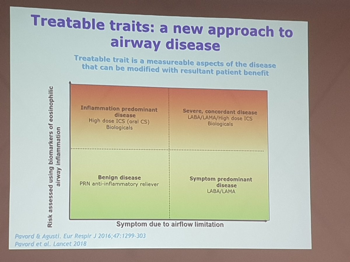 REvans_Breathe's tweet photo. #ILH2020 Prof Ian Pavord back home @Leic_hospital @uniofleicester
*persuasive argument that we should be phenotyping mild asthma using treatable traits 
*A force of clinical ability and intelligence but always crediting others (we still miss him)
@RuthHGreen
@BTSchair https://t.co/GjuaHUnoK9