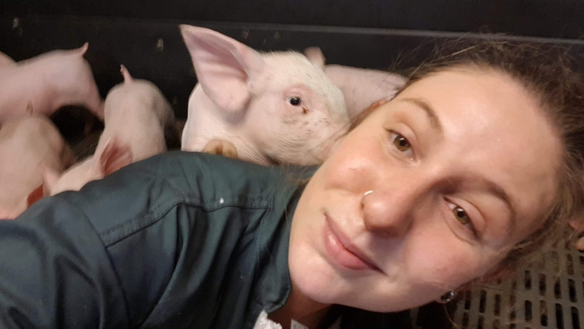 JAMORBIHAN's tweet photo. 💕Pour la St Valentin notre réseau JA se mobilise contre l'agri-bashing! 
Nos fermes sont remplies d'amour, la preuve 📸💕
Belle St Valentin à toutes et à tous...💐🐷 https://t.co/IoICWba7F3
