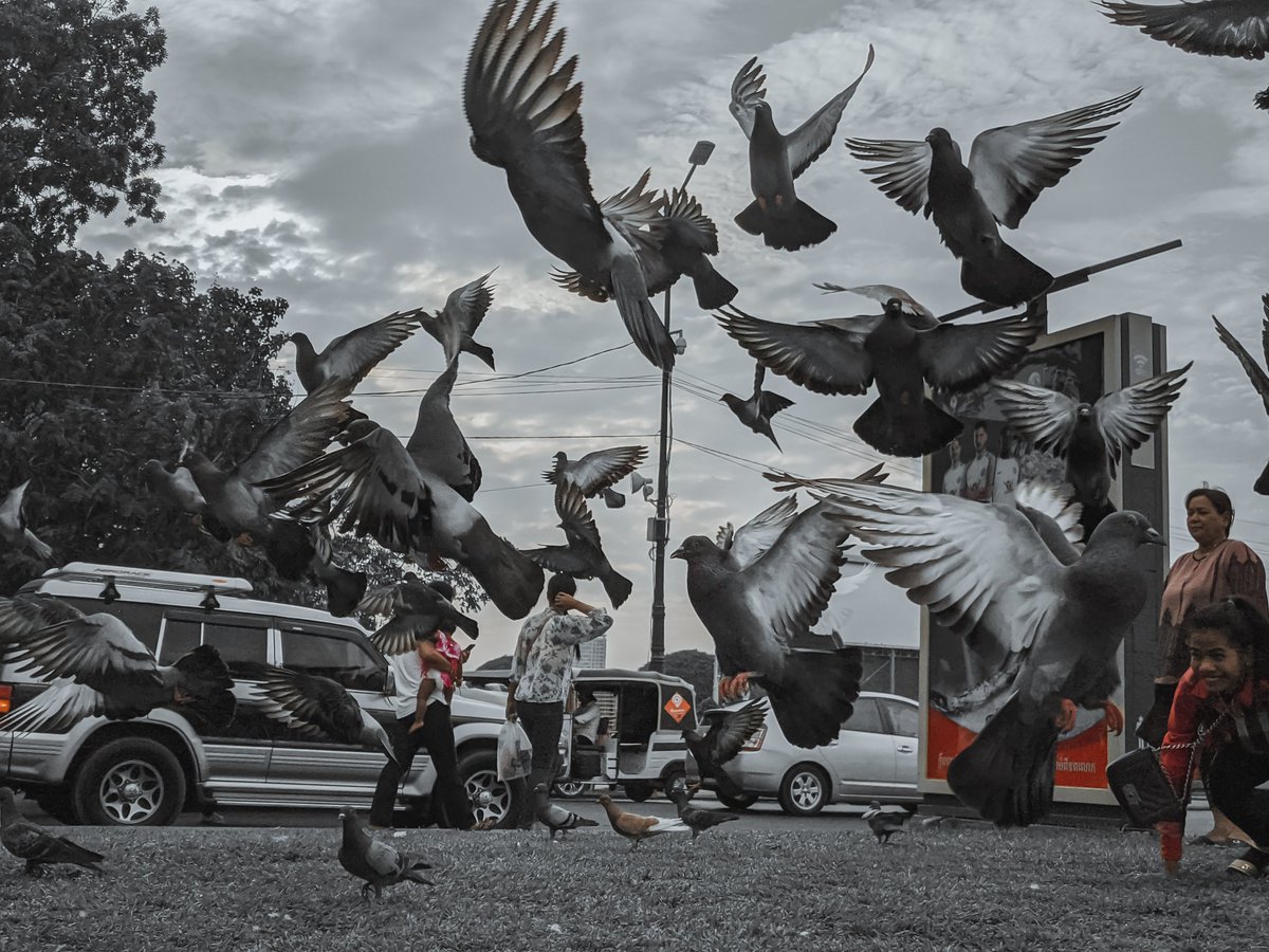 KayasethV's tweet image. #photography #smartphotography