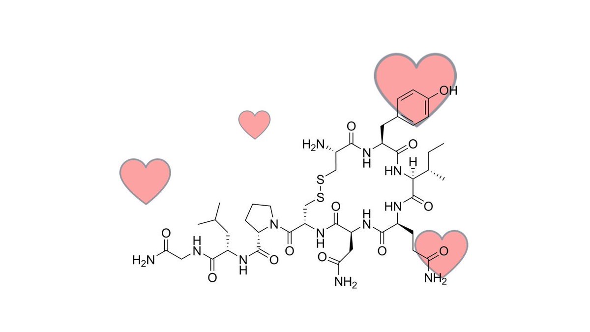 This is the hormone of #love, oxytocin. It is released when people create social bonds, cuddle and has a role in reproduction. On this Valentine's day, PhenoSwitch wishes love and wellness to everyone! And yes, we can quantify oxytocin using mass spectrometry.