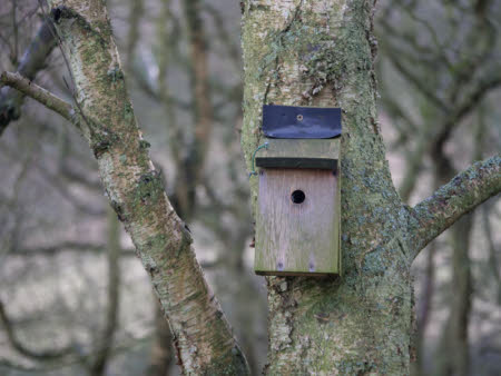 What's the important thing about #ValentinesDay? It's the start of #NationalNestBoxWeek! With fewer holes and crevices in modern houses, nestboxes provide great nesting alternative for birds. So put one out in your garden for the new season! #lovebirds