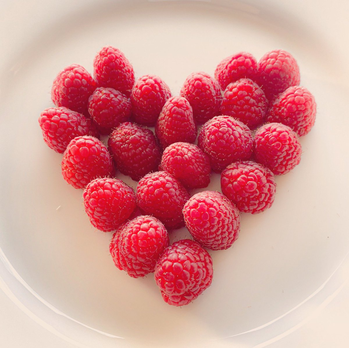 rumsumsum's tweet photo. Happy Valentine’s Day! https://t.co/PnICUacbyj