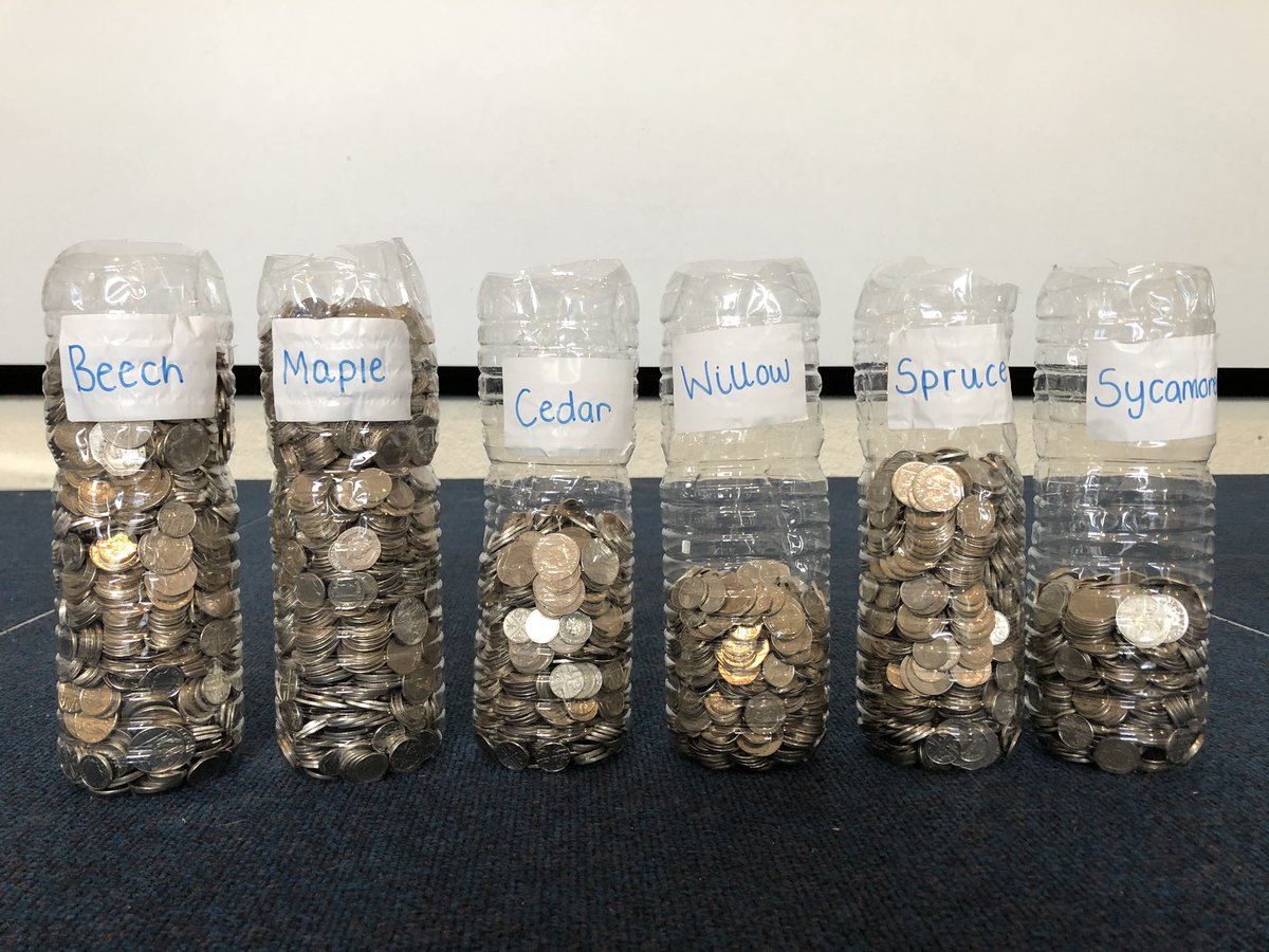 MossBuryPrimary's tweet photo. We are so overwhelmed with the enthusiasm and generosity shown towards our Silver Change Challenge; altogether we raised a phenomenal £1164.79 to put towards books for our new library!

Maple Class raised the most with an incredible total of £165.70!☺️📚 https://t.co/ut3b7EPDla