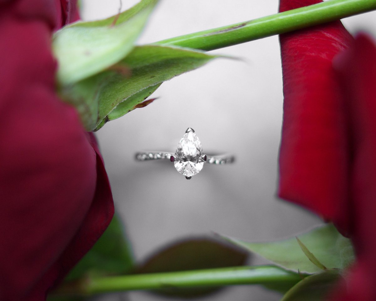 Just half a day to make sure you have everything you need for a romantic Valentine’s Day proposal. What are your plans this evening?
•
#diamonds #proposal #love #isaidyes #engagementring #peardiamond #solitaire #sparkle #bemyvalentine #valentinesproposal #jotd #bespokejewellery