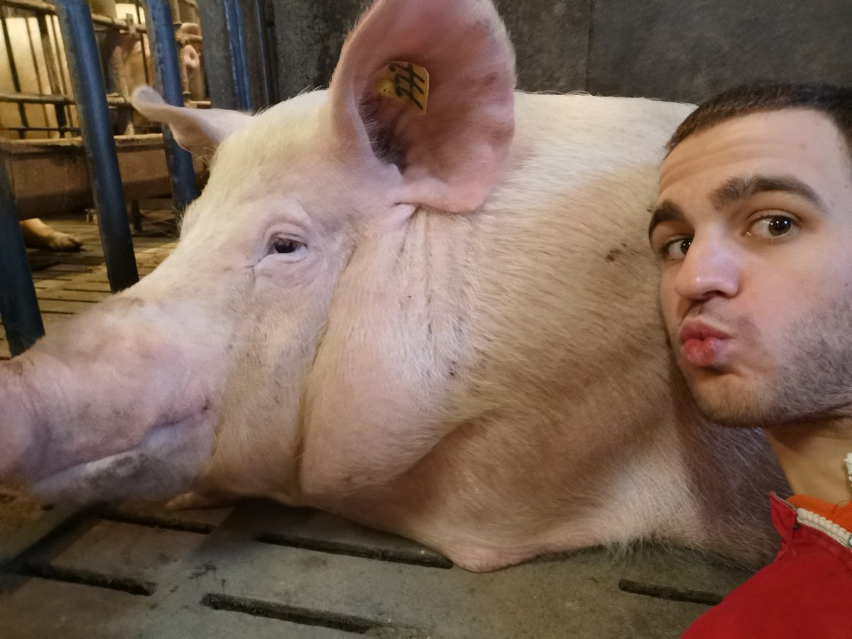 #SaintValentinesDay

Joyeuses #SaintValentin 💕

#ValentinesWithNobody 😅