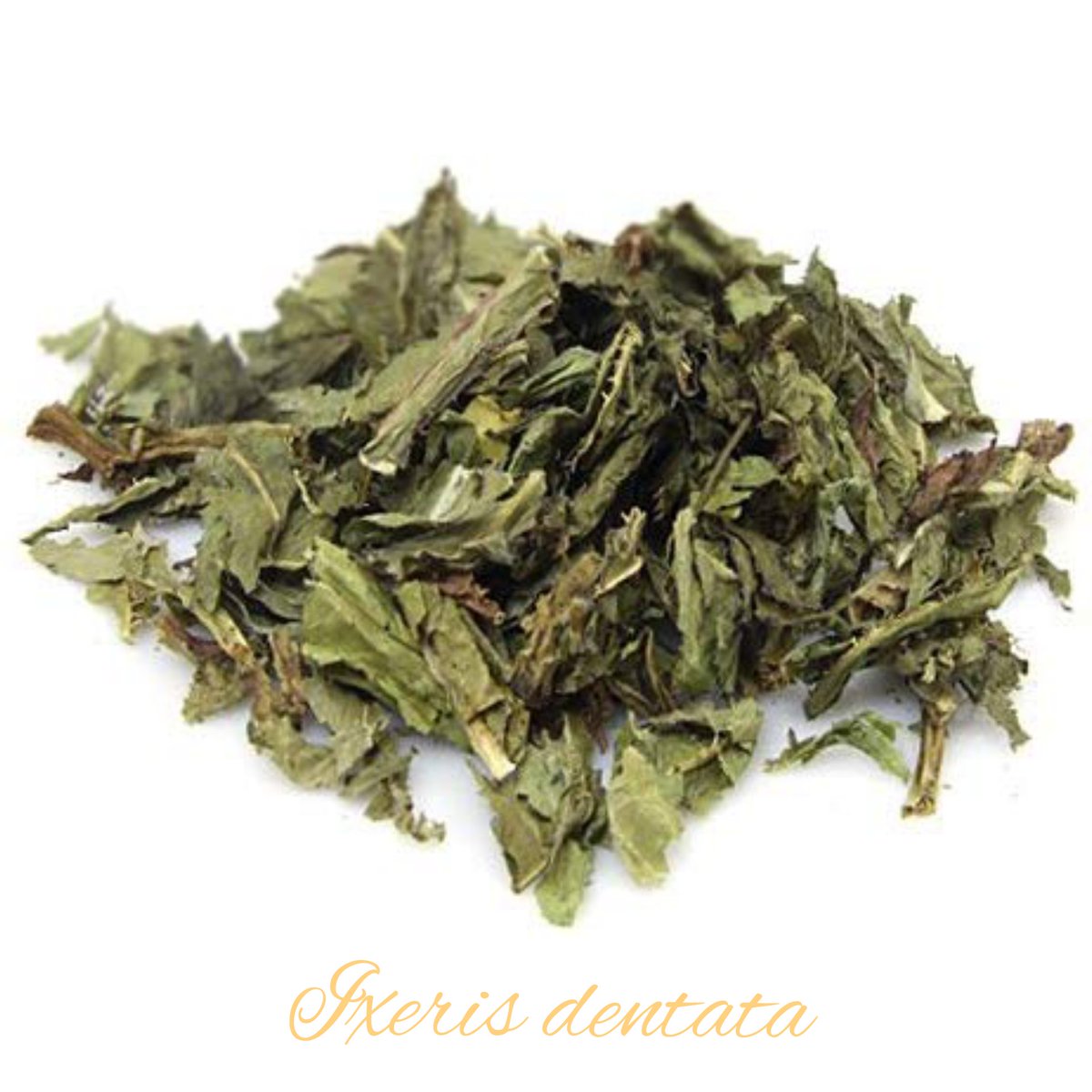 deletepride's tweet photo. Delete Tea Ingredients: Ixeris dentata 
#deletepride #deletetea #deletetherapy #detox #organic #plantbased #psoriasis #psoriaticarthritis #eczema #dermatitis #asthma #rhinitis #inflammation #antidepressant #antianxiety #FDAApproved #NPFRecognized https://t.co/8jlKSAAP3p