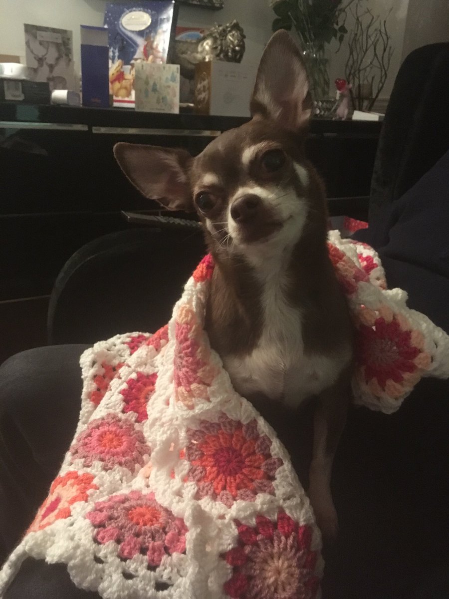 <a href="/Licksoflondon/">josie,kelly& queenie</a>  <a href="/DogFP/">Dog Fashion Police</a> Be staying soon <a href="/cotswoldinns/">Cotswold Inns & Hotels</a> will take lots of photos and blog about it when I get back wagging my tail .<a href="/PetsPyjamas/">PetsPyjamas.com</a> recommend it to me . #celebdog #queeniewoof
