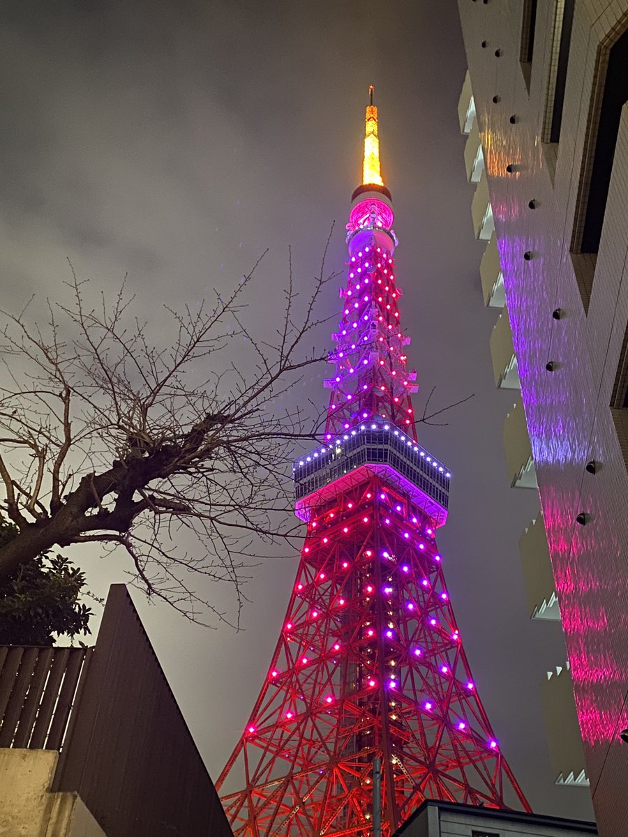 今日の東京タワー 今日の東京タワー