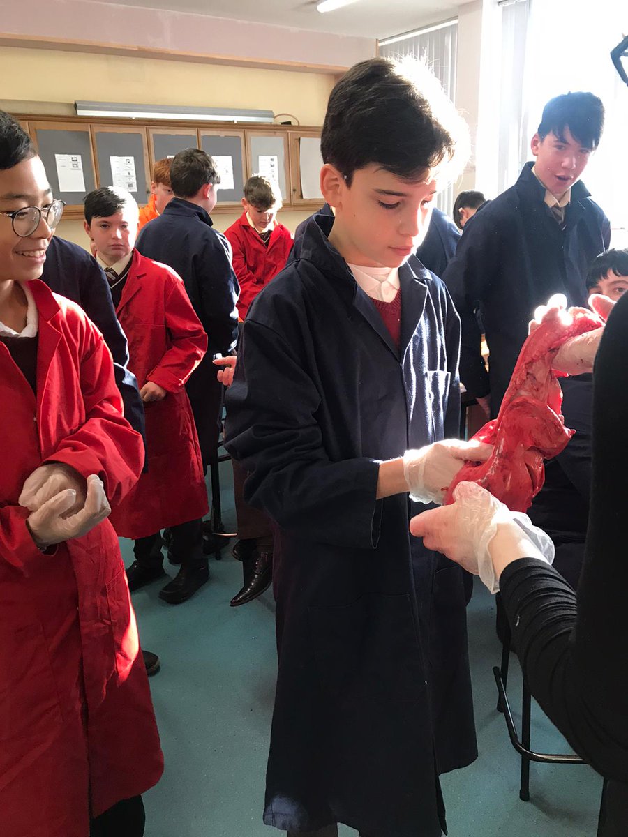 CBSCharleville's tweet photo. Oue 1st Year Science pupils getting #handonexperience #studentengagement with sheep lungs so as to develop and expand their knowledge of the breathing system.#jctscience #ERST #THISISCBS https://t.co/LFIDPRNswr