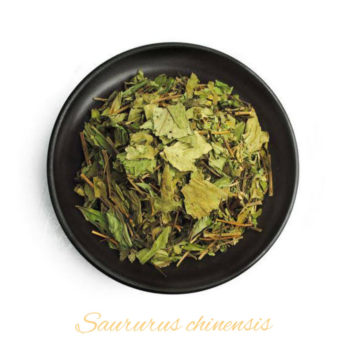 deletepride's tweet photo. Delete Tea Ingredients: Saururus chinensis 
#deletepride #deletetea #deletetherapy #detox #organic #plantbased #psoriasis #psoriaticarthritis #eczema #dermatitis #asthma #rhinitis #inflammation #antidepressant #antianxiety #FDAApproved #NPFRecognized https://t.co/QI8mfYApj4
