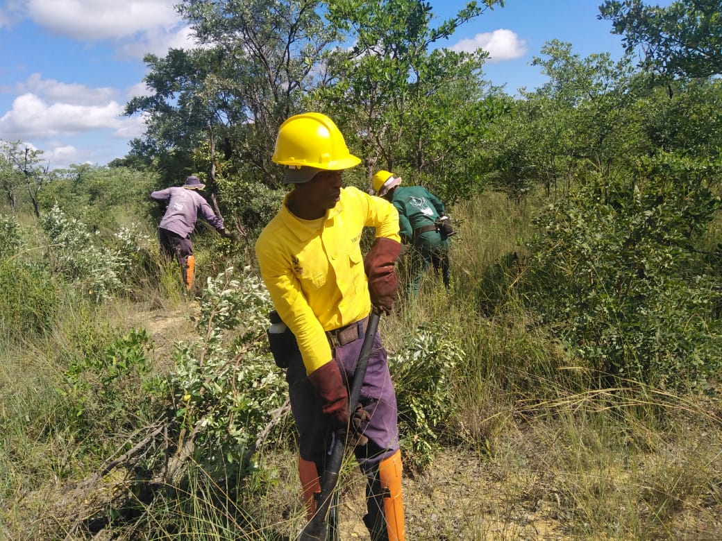 wo_fire's tweet photo. Heavy rains increase #WOF_LIM production. Due to the heavy rains experienced in the province, the Leseding team has been deployed on a project in the Vaalwater area where they will assist the landowners with manual fuel load reduction.
#ProtectingTheEnvironment
#FuelLoadReduction https://t.co/SXyXeWlfCB