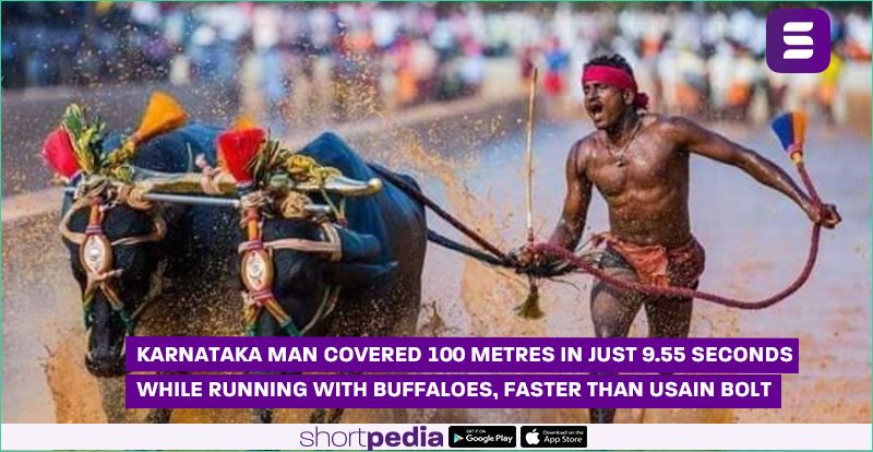 ShortpediaApp's tweet photo. The man named #SrinivasaGowda the #fastestrunner in the history of the traditional #sport of the coastal region, broke a 30-year-old record. Interestingly, @usainbolt took 9.58 seconds to cover 100 metres, while Gowda covered the same distance in just 9.55 seconds. https://t.co/AVokdv6xF6
