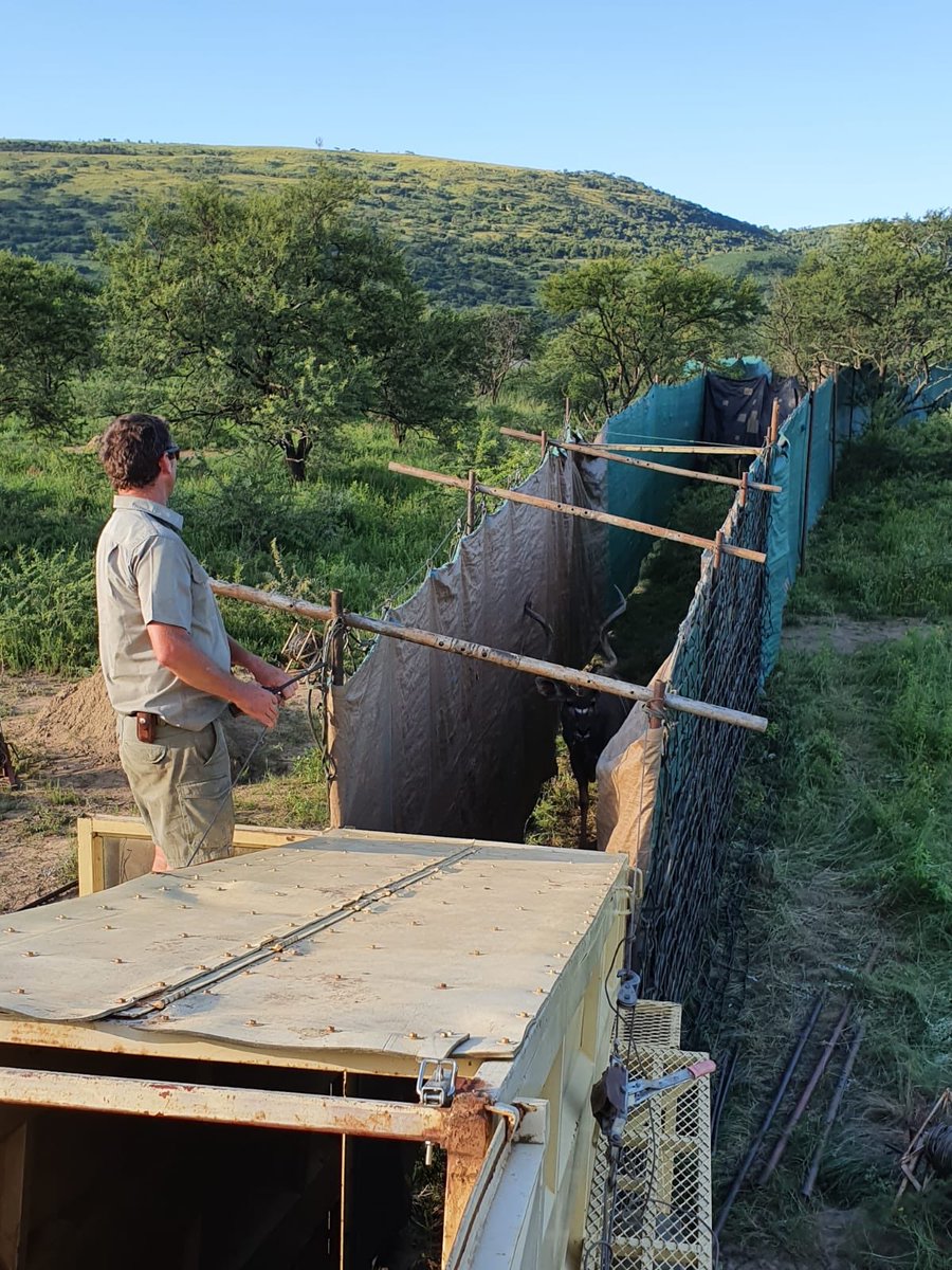 UmPhafa Reserve tweet media
