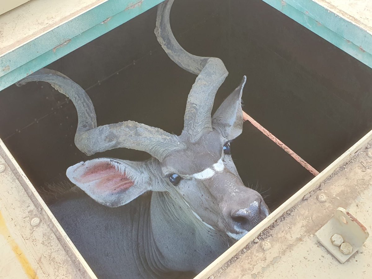 UmPhafa Reserve tweet media