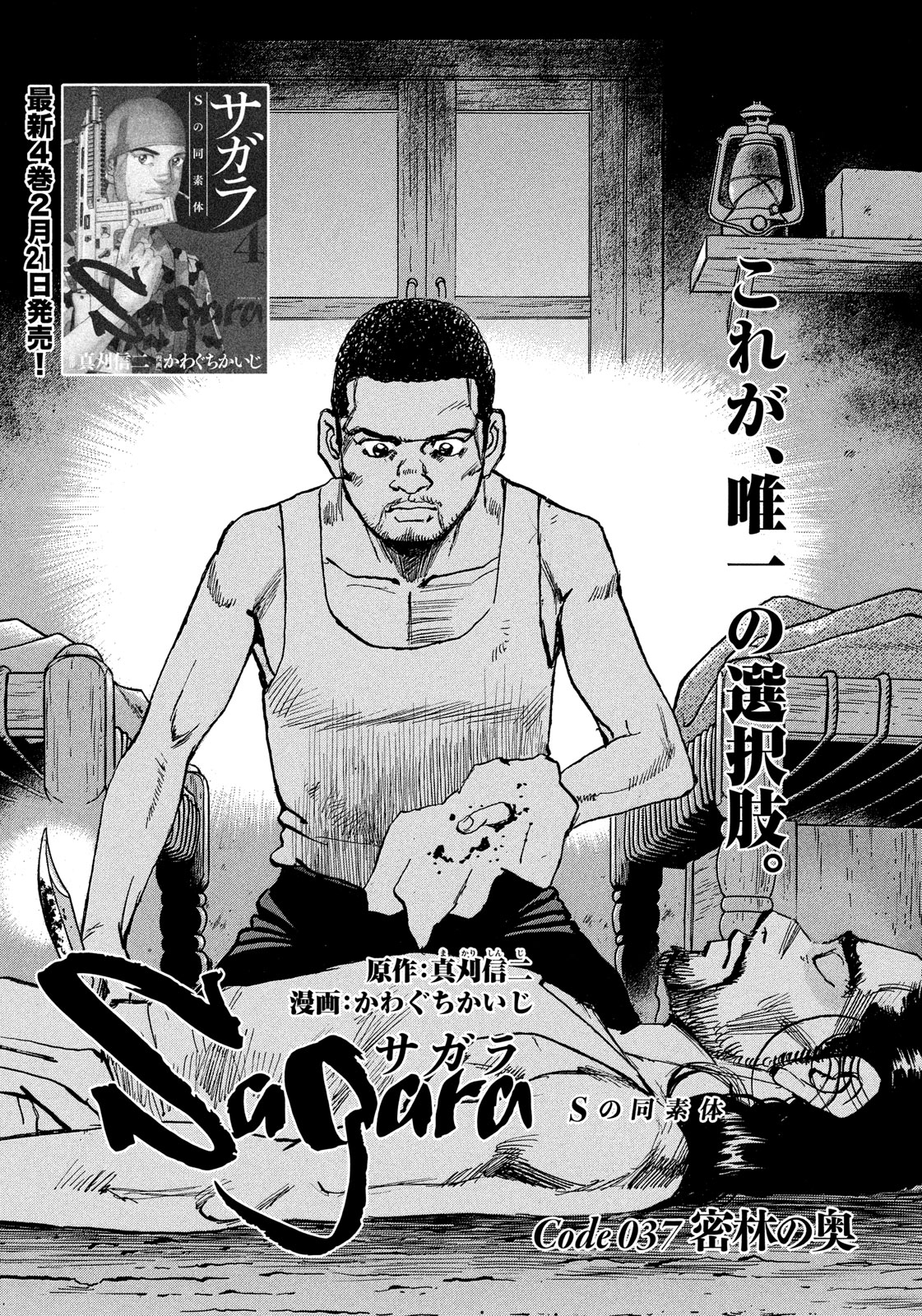 サガラ Sの同素体 公式 Sagara Diamond Twitter