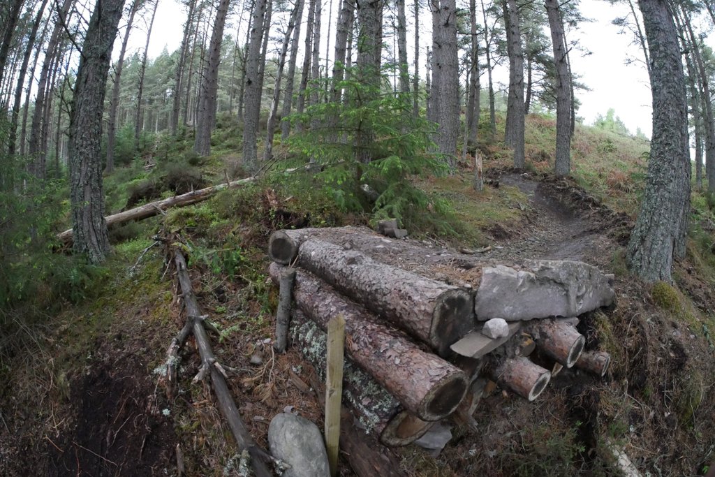 Highland Wildcat Trails tweet media